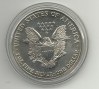 USA_american_eagle_1996.1